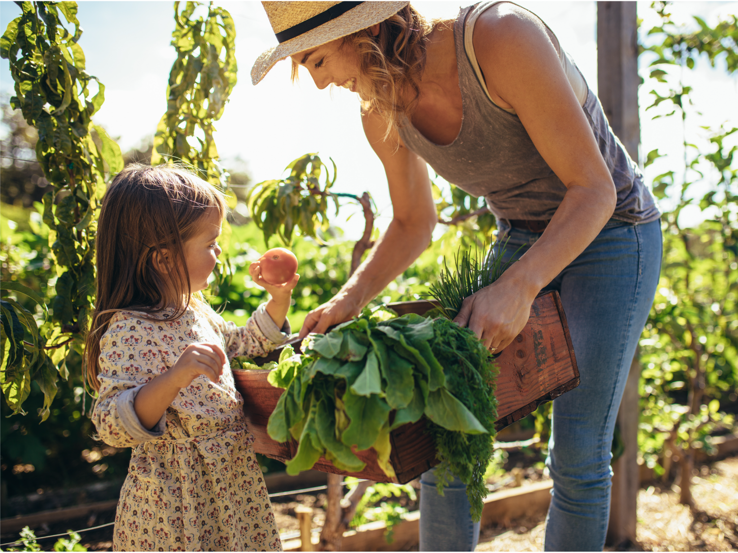 How Nutrient Density in Produce has Declined Over Time