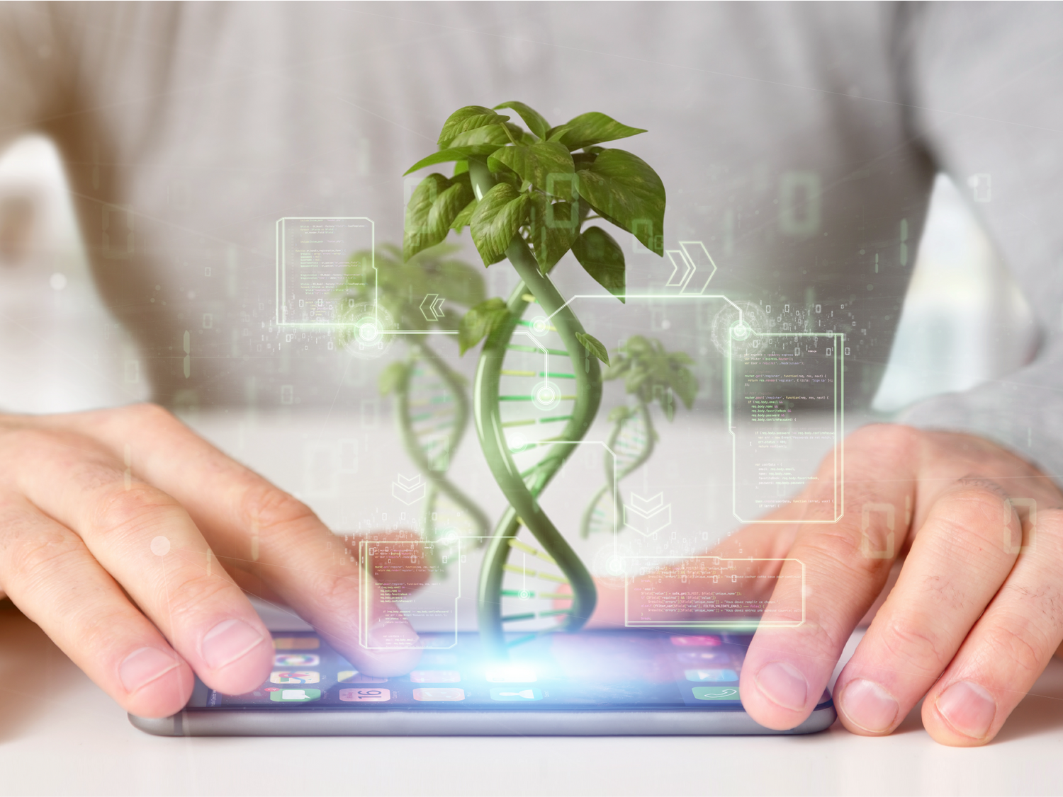 3 Things to Know About Personalized Vitamins