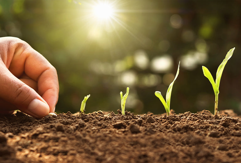 7 Ways to Save Our Soil—And Boost Your Garden