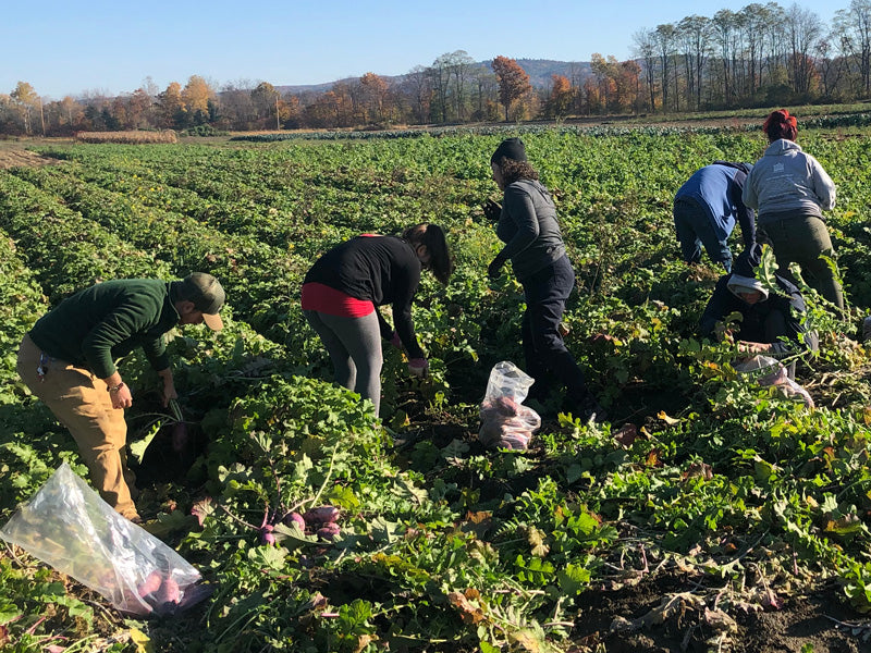 How New Chapter Gives Back to Our Community