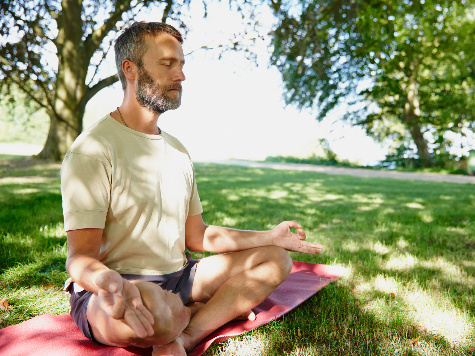 5 Best Vitamins for Men Over 50