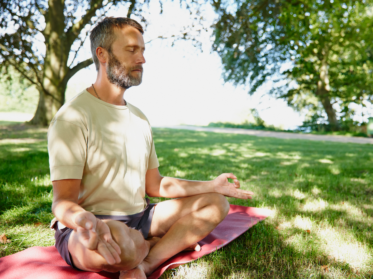 5 Best Vitamins for Men Over 50 in 2024