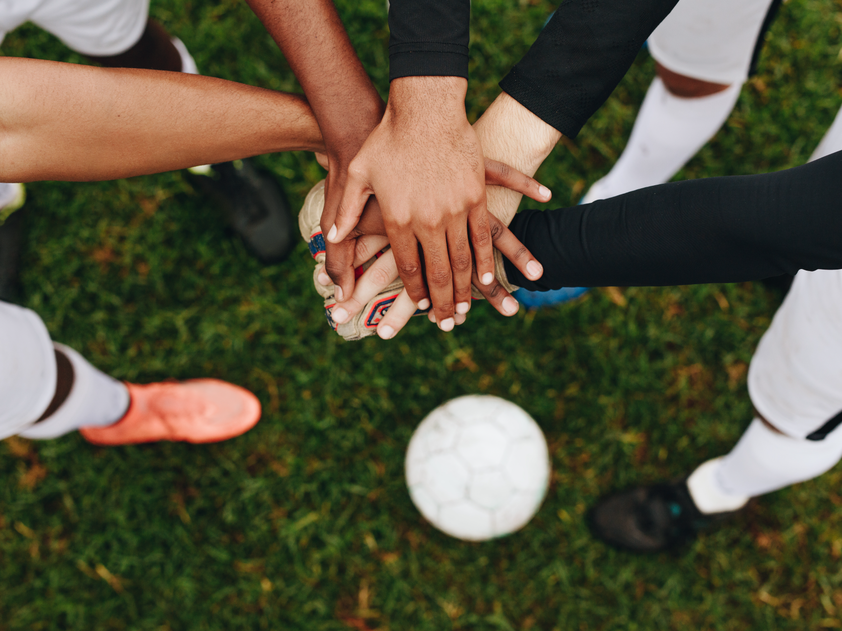 Top Supplements for Athletes