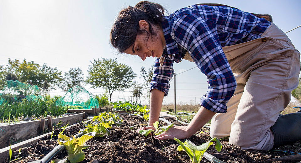 7 Surprising Health Benefits of Gardening