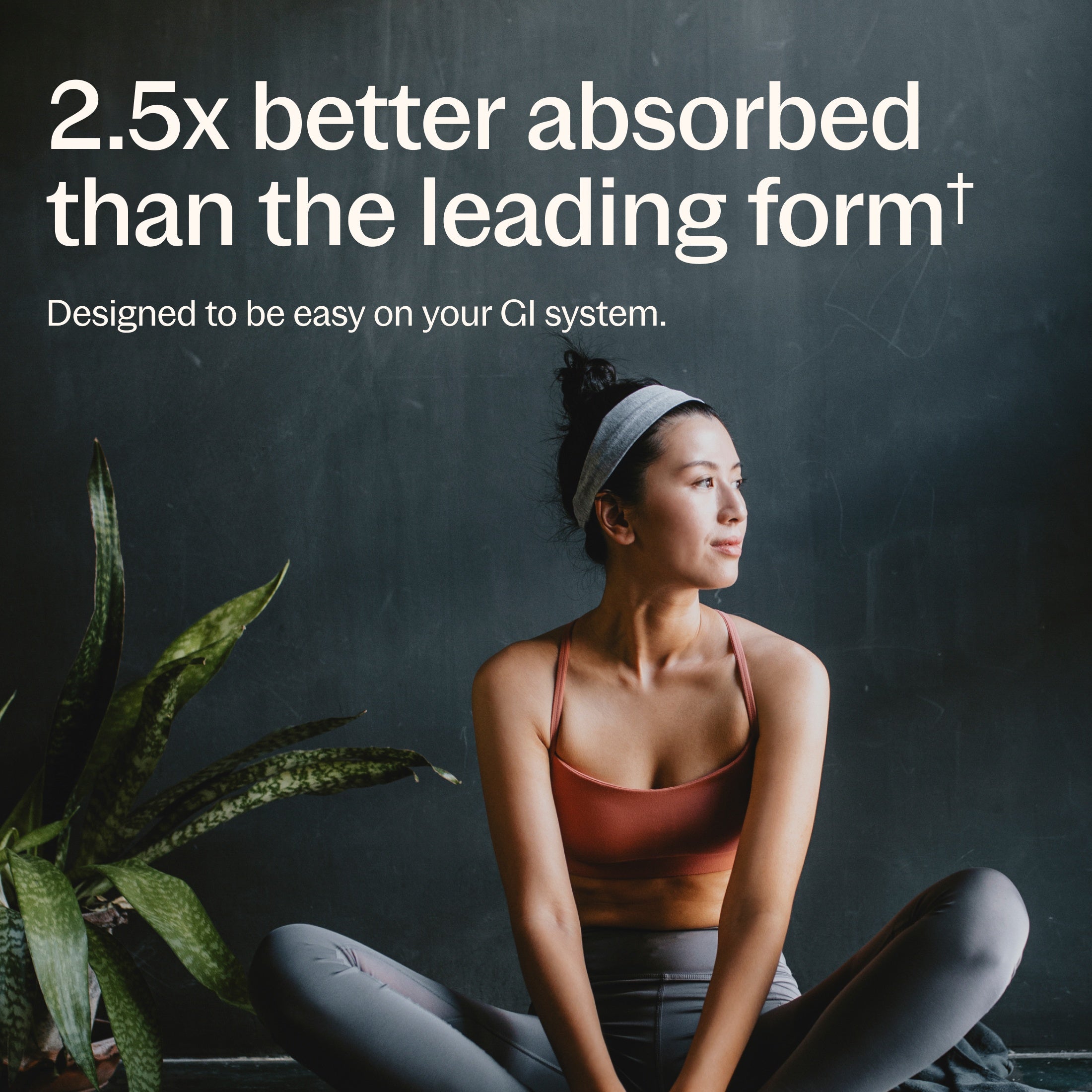 2.5x better absorbed than the leading form - designed to be easy on your GI System