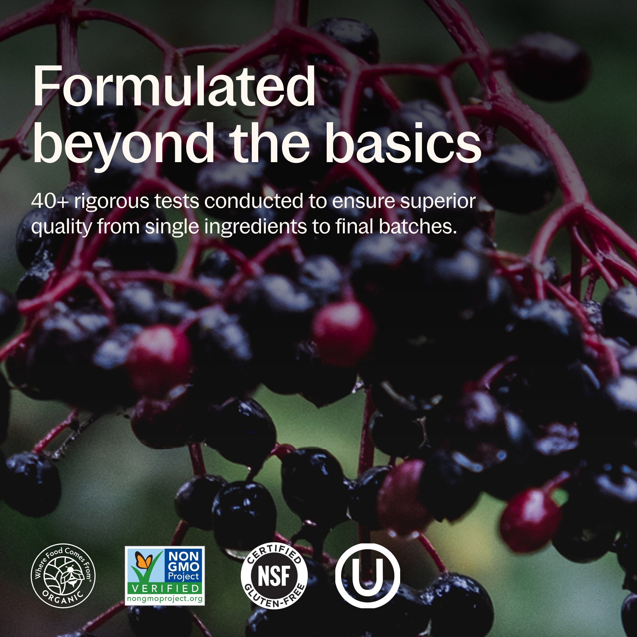 Formulated beyond the basics, 40+ rigorous tests conducted to ensure superior quality from a single ingredients to final batches. Where Food Comes From Organic Certified, Non-GMO Project Verified, NSF Certified Gluten-Free, Kosher Certified