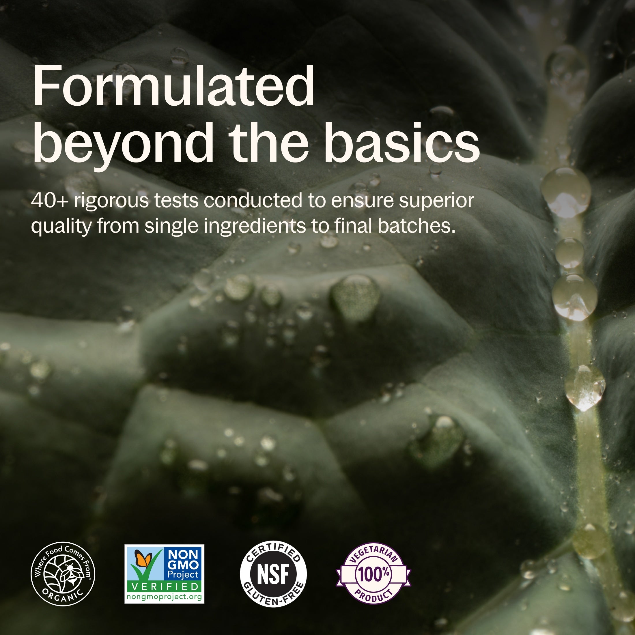 Formulated beyond the basics, 40+ rigorous tests conducted to ensure superior quality from single ingredients to final batches, Where Food Comes From Organic Certified, Non-GMO Project Verified, NSF Certified Gluten-Free, 100 Vegetarian