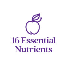 16 Essential Nutrients