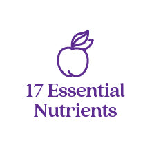17 Essential Nutrients