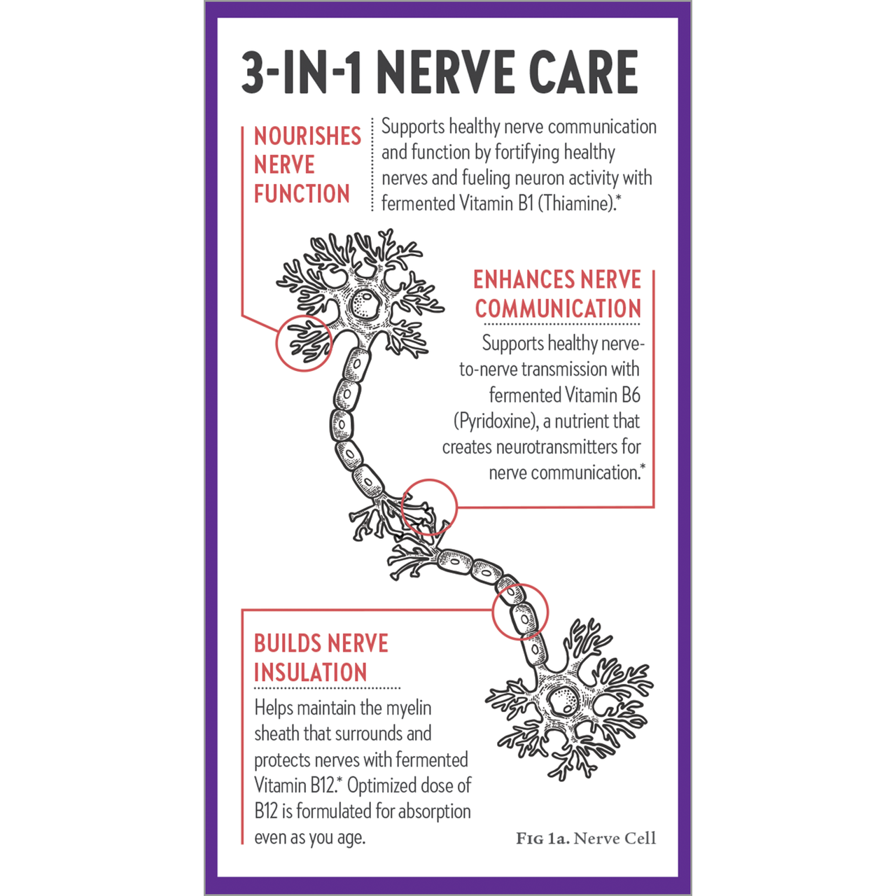 Holistic Nerve Health
