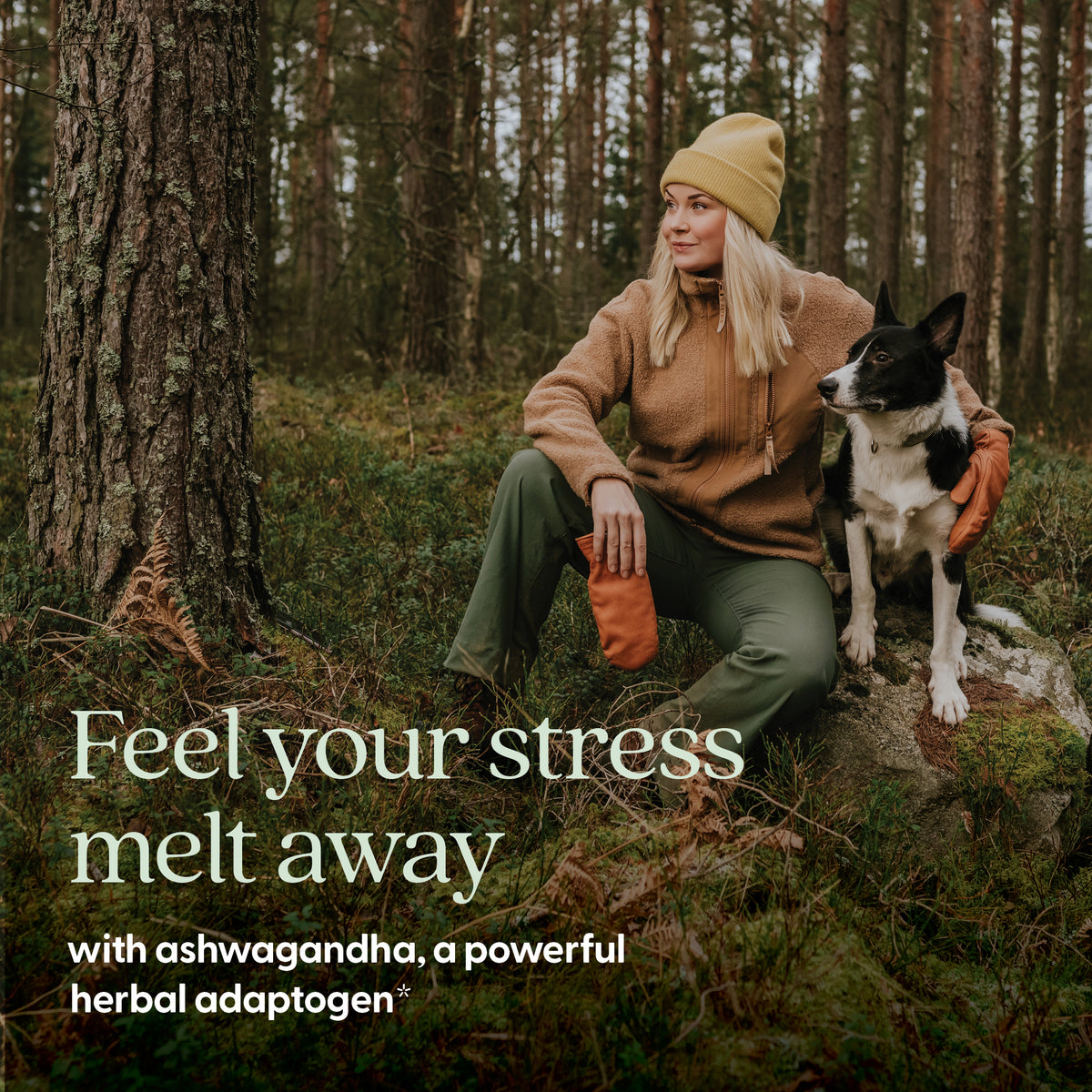 Feel your stress melt away with ashwagandha, a powerful herbal adaptogen*