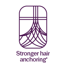 Stronger Hair Anchoring*