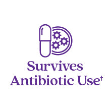 Survives Antibiotic Use