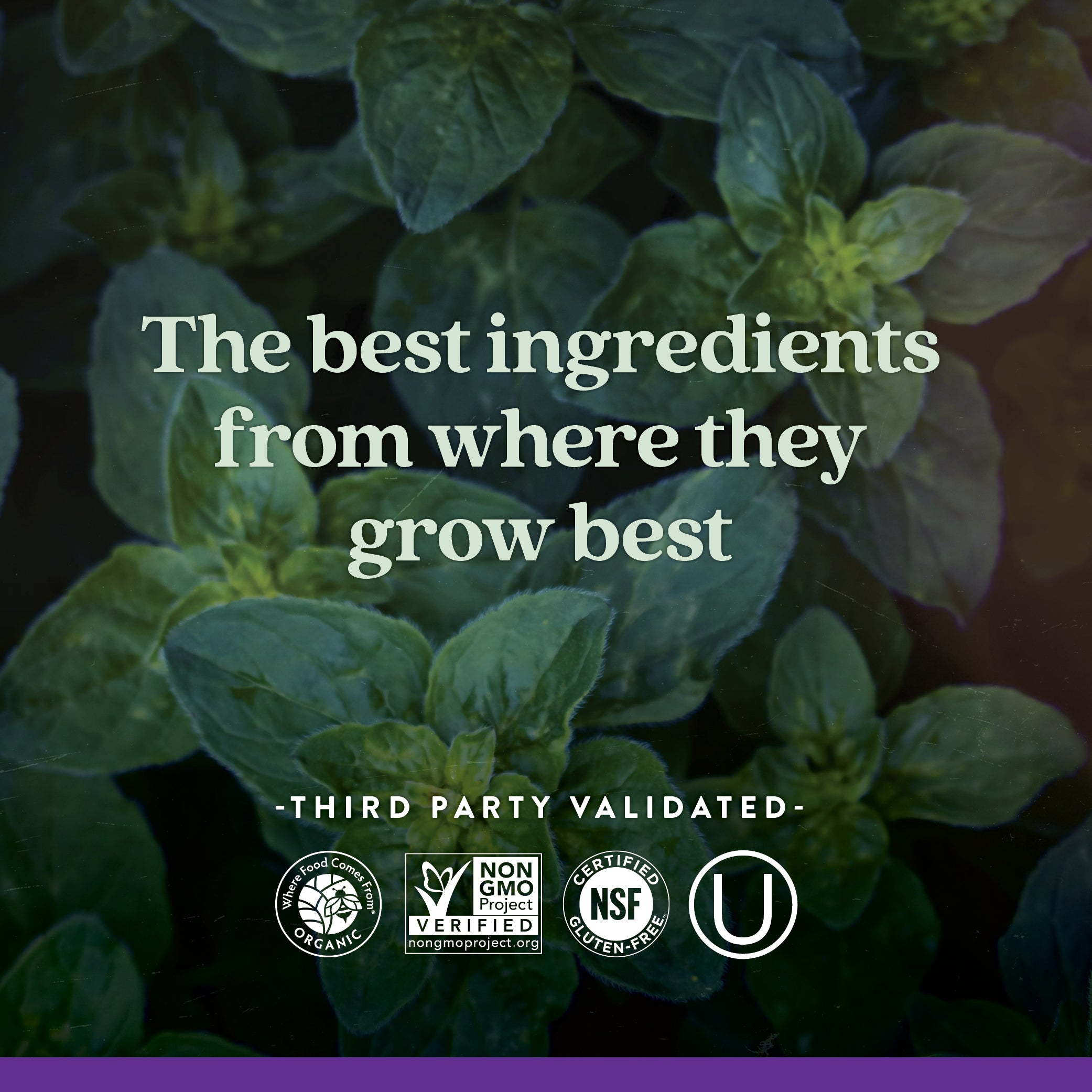 The best ingredients from where they grow best
