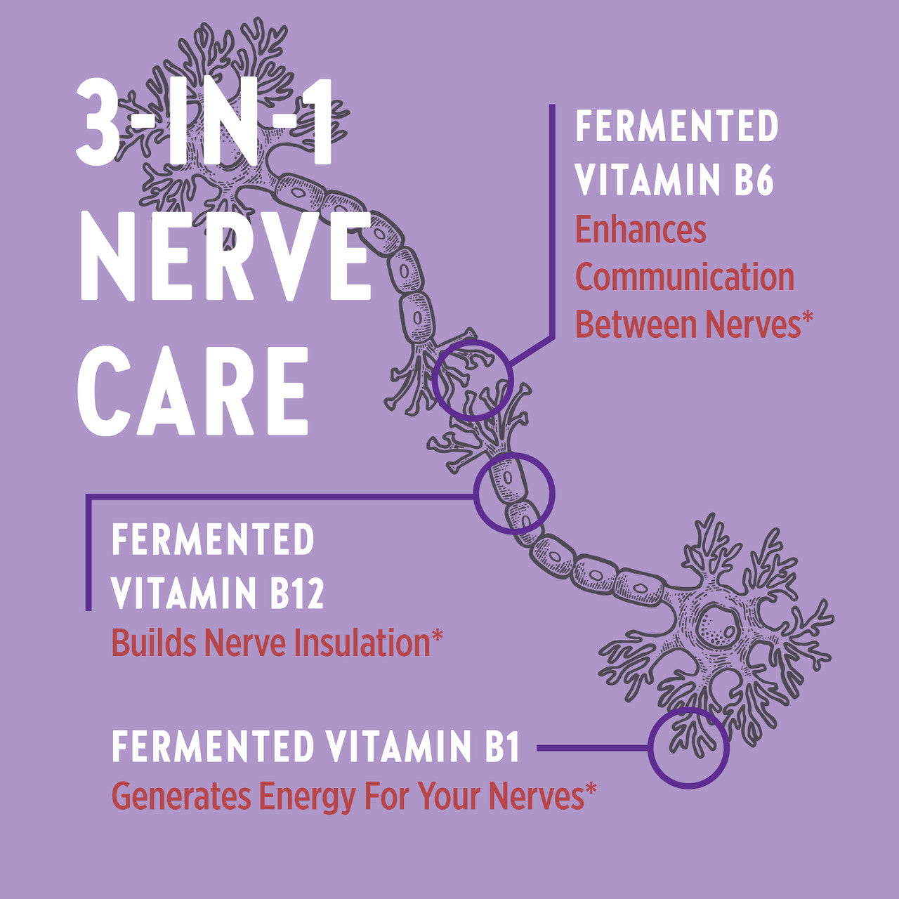Holistic Nerve Health