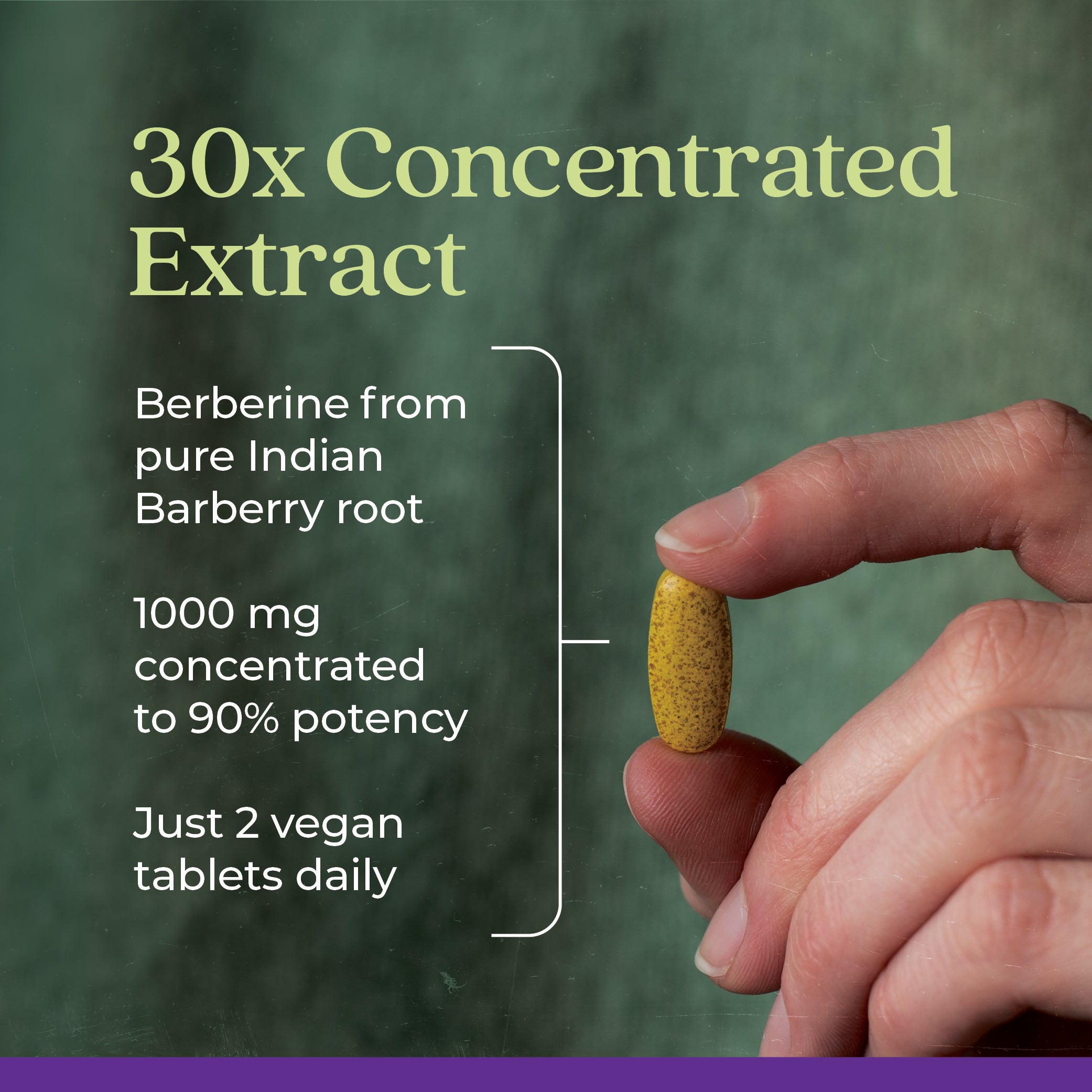 Berberine 1000 mg