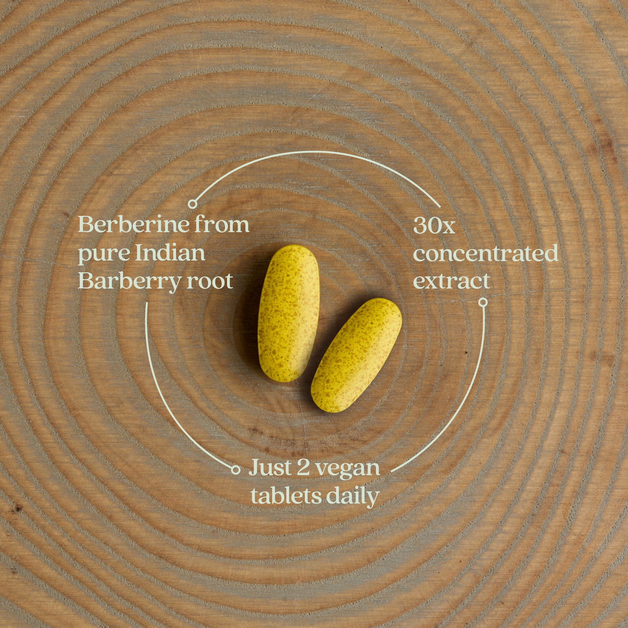 berberine from pure Indian Barberry root, 30x concentrated extract, Just 2 vegan tablets daily