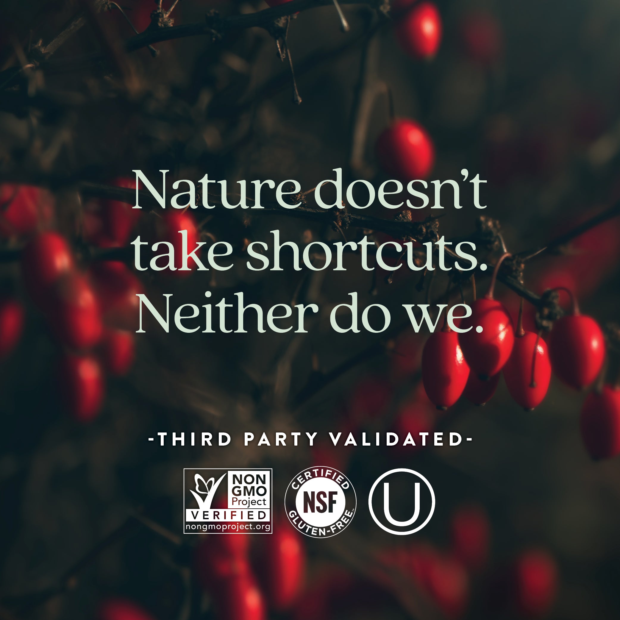 Non-GMO Project Verified, NSF Certified Gluten-Free, Kosher Certified