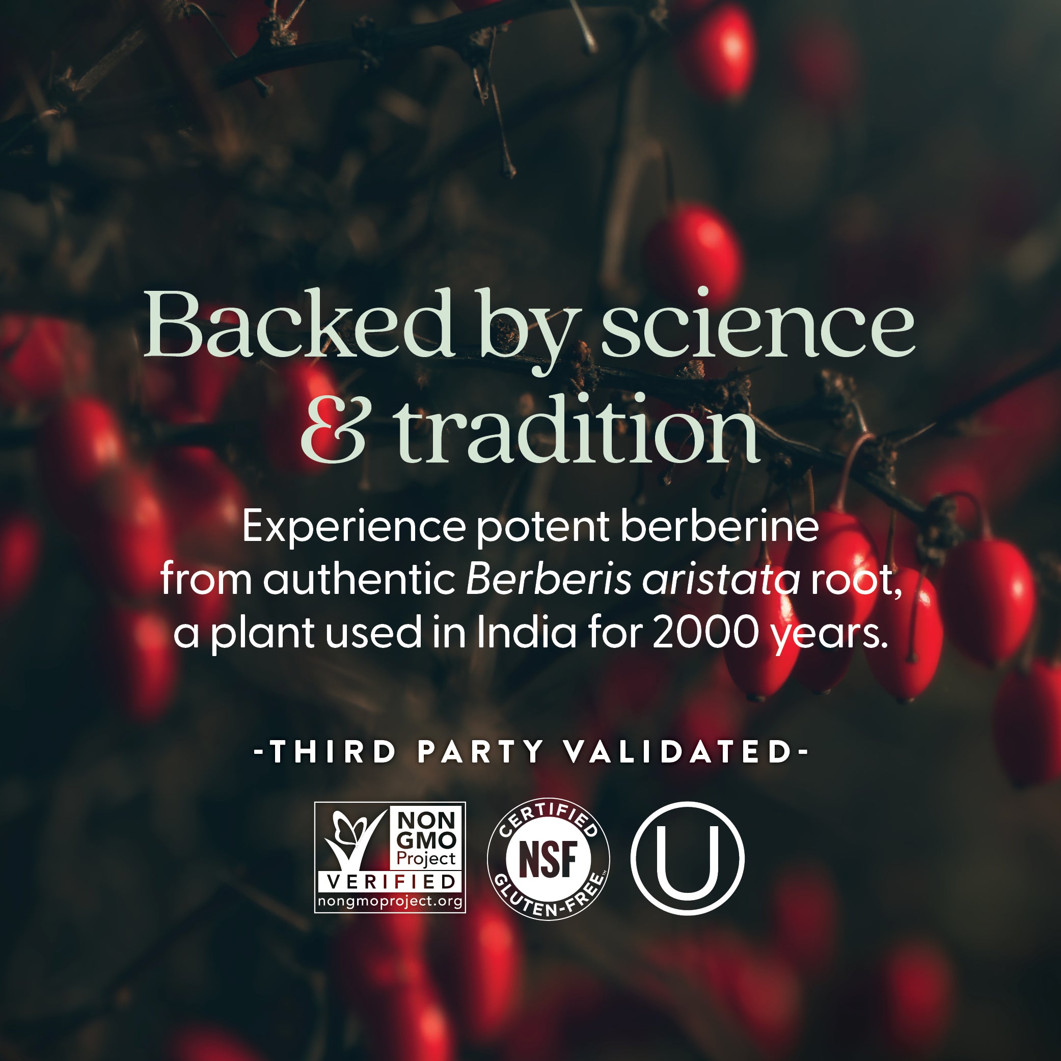 Back by science & tradition Non-GMO Project Verified, NSF Certified Gluten-Free, Kosher Certified