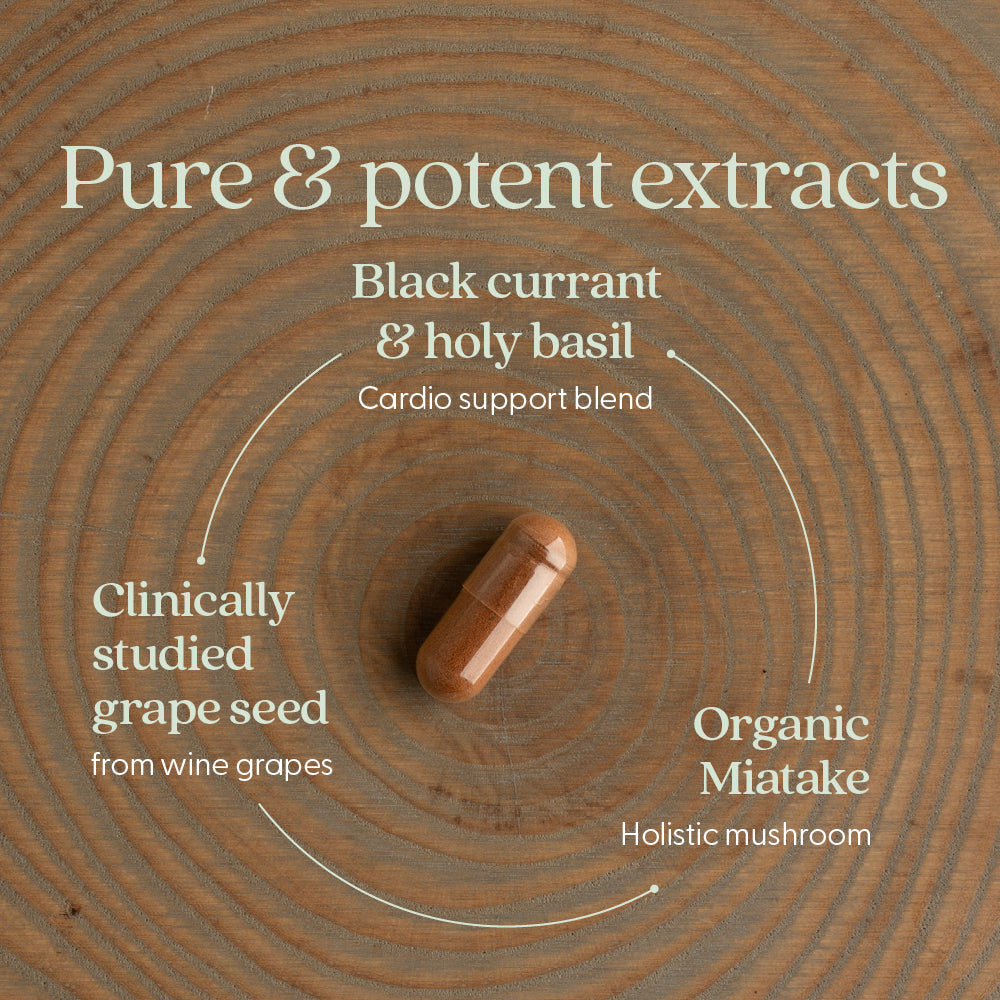 Pure & Potent extracts, Black current & Holy Basil, Clinically studied grape seed organic miatake