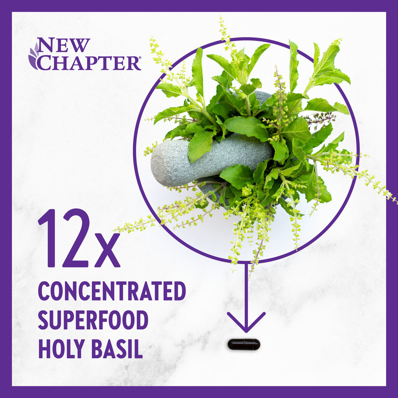 Concentrated Superfood Holy Basil
