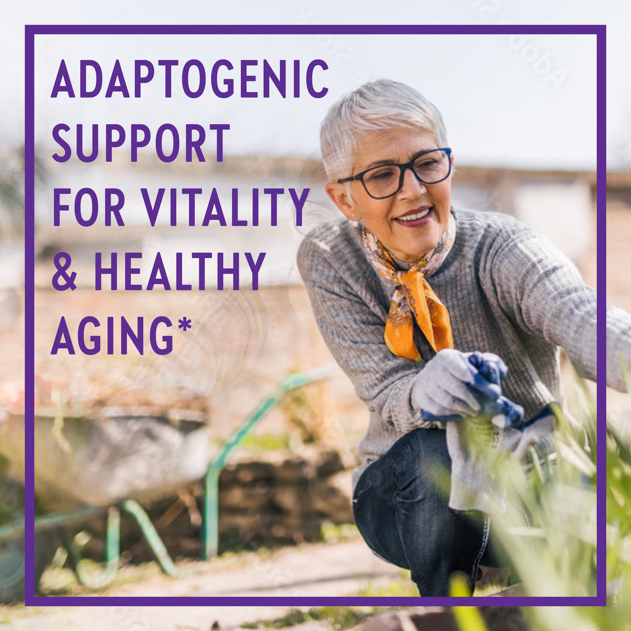 Adaptogenic Support For Vitality & Healthy Aging*