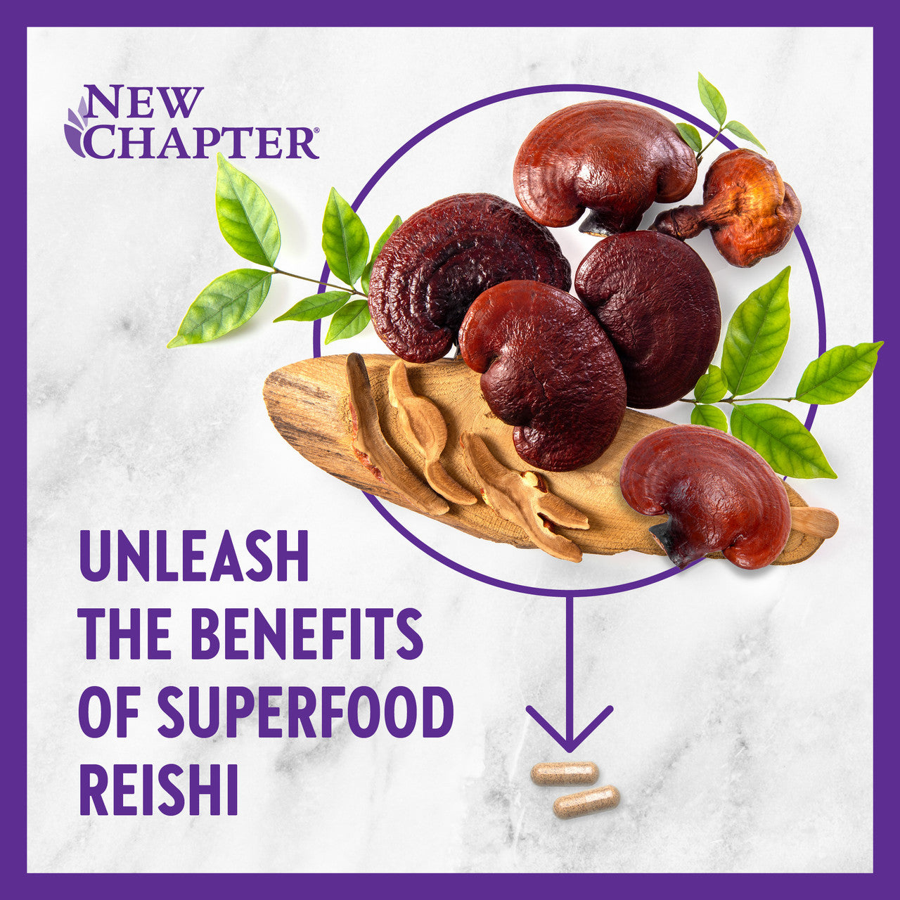 Unleash the benefits of superfood reishi