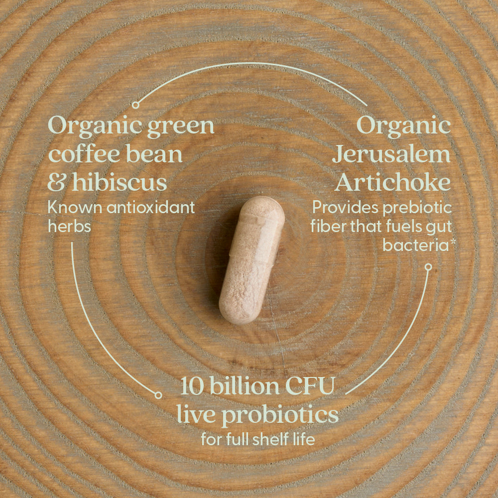 Organic green coffee bean & hibiscus, Organic Jerusalem Artichoke and 10 billion CFU live probiotics