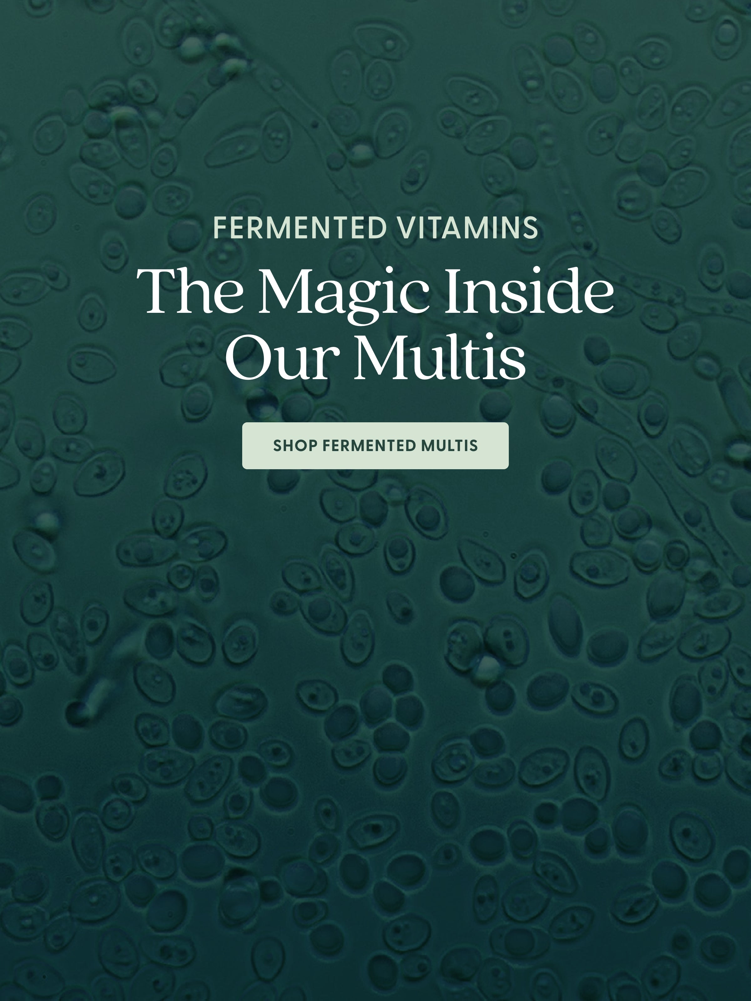 The Magic Inside of Our Multis - Shop Fermented Multis