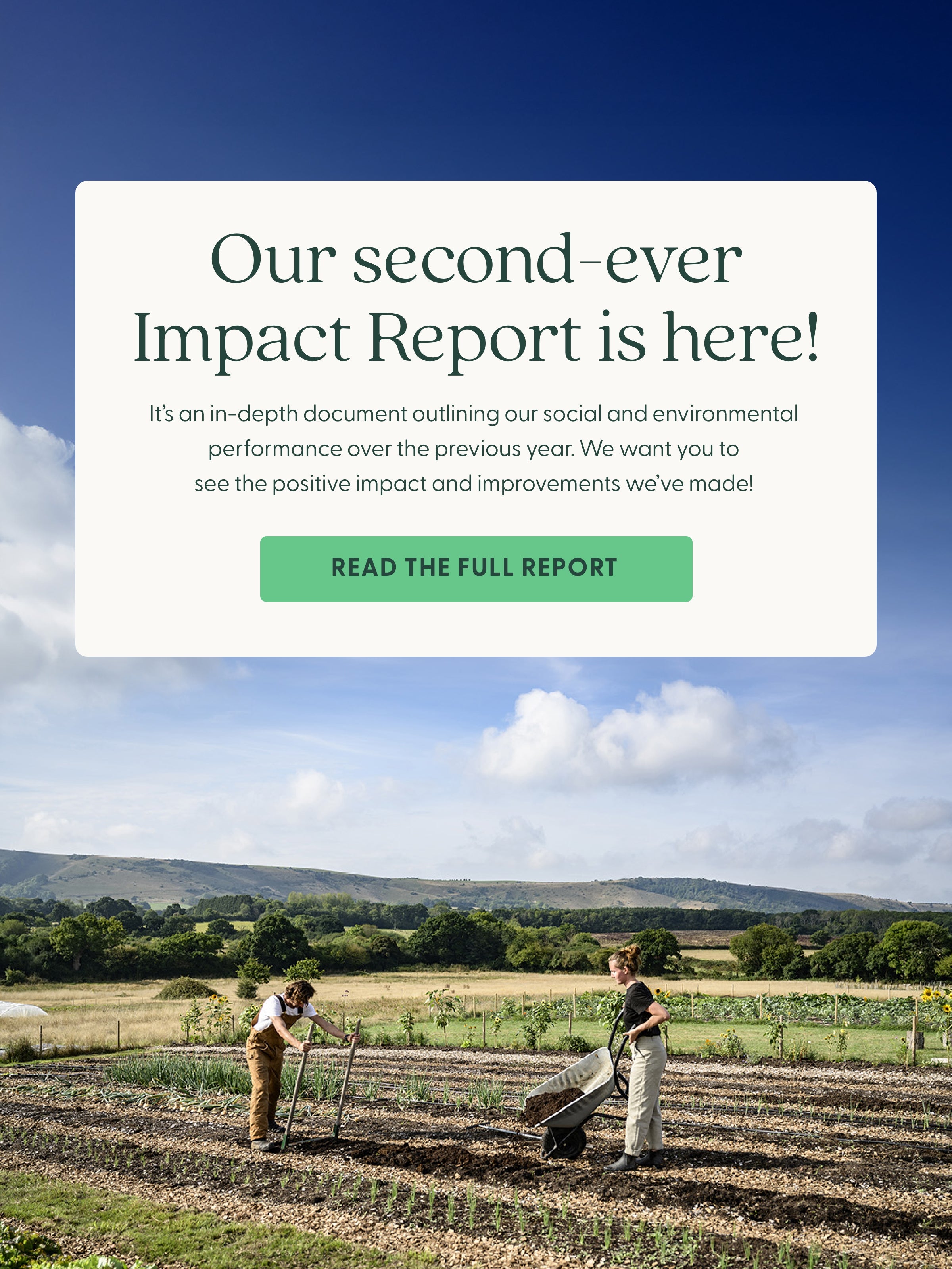 Our second-ever Impact Report is here! It's an in-depth document outlining our social and environmental performance over the previous year.