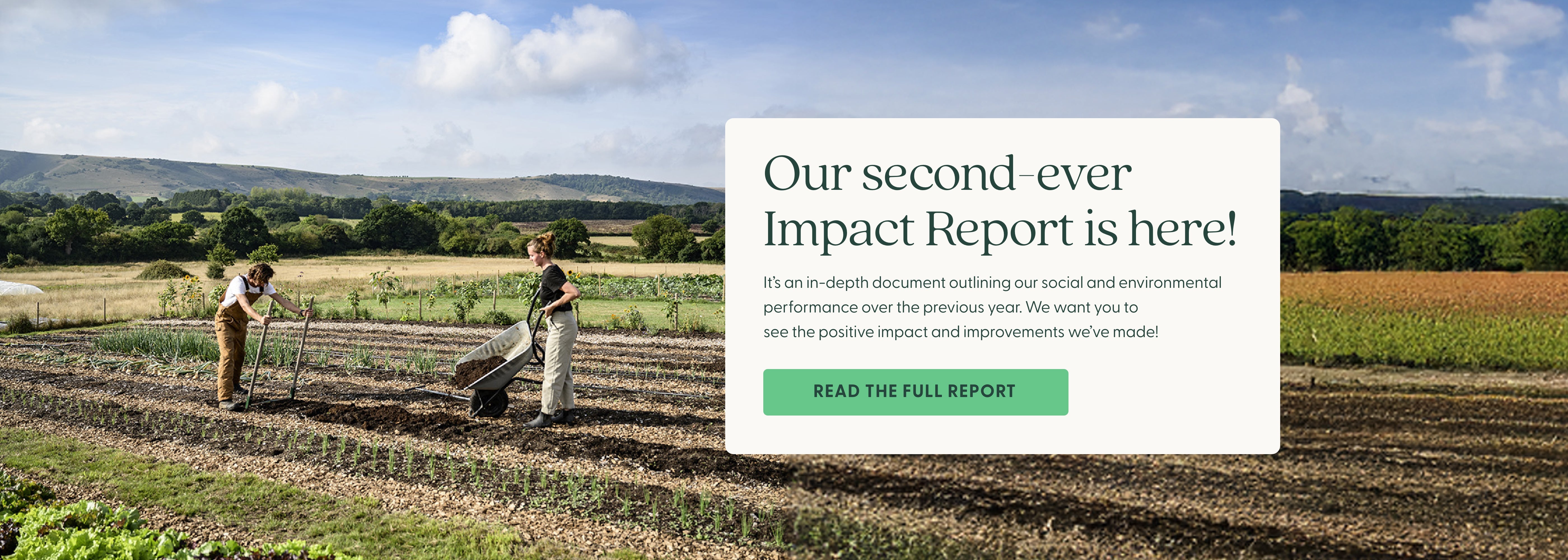 Our second-ever Impact Report is here! It's an in-depth document outlining our social and environmental performance over the previous year.