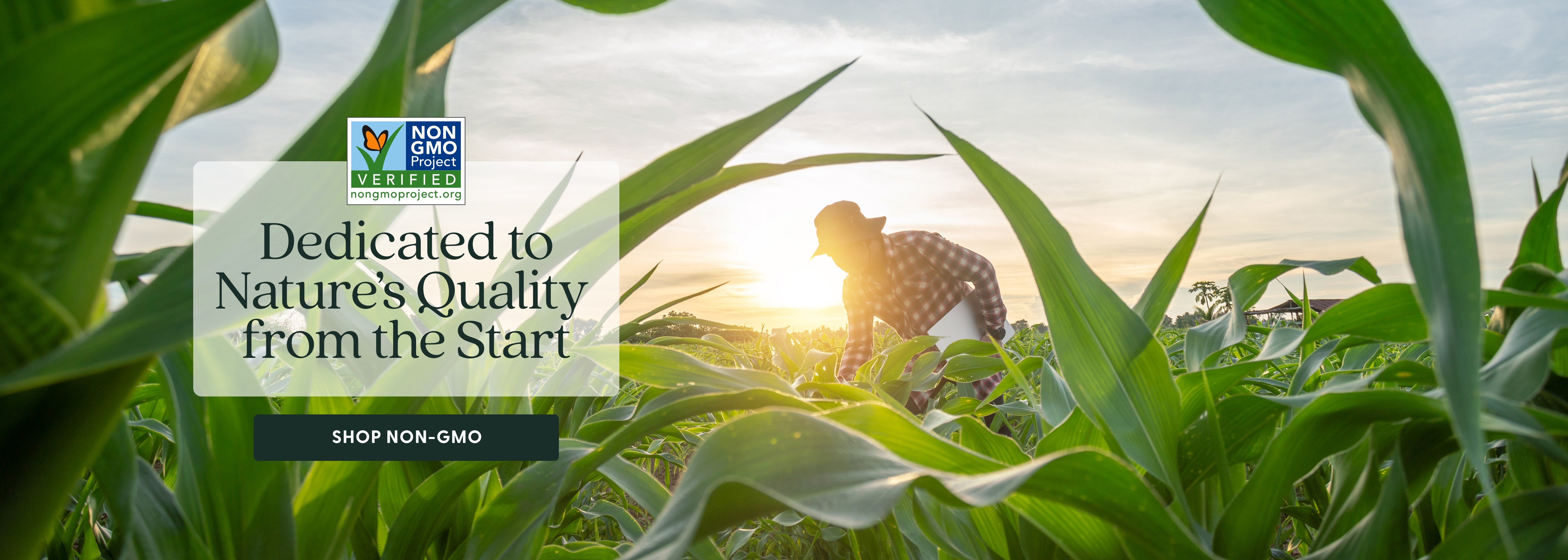 Non-GMO Project Verified - Dedicated to nature's Quality from the Start