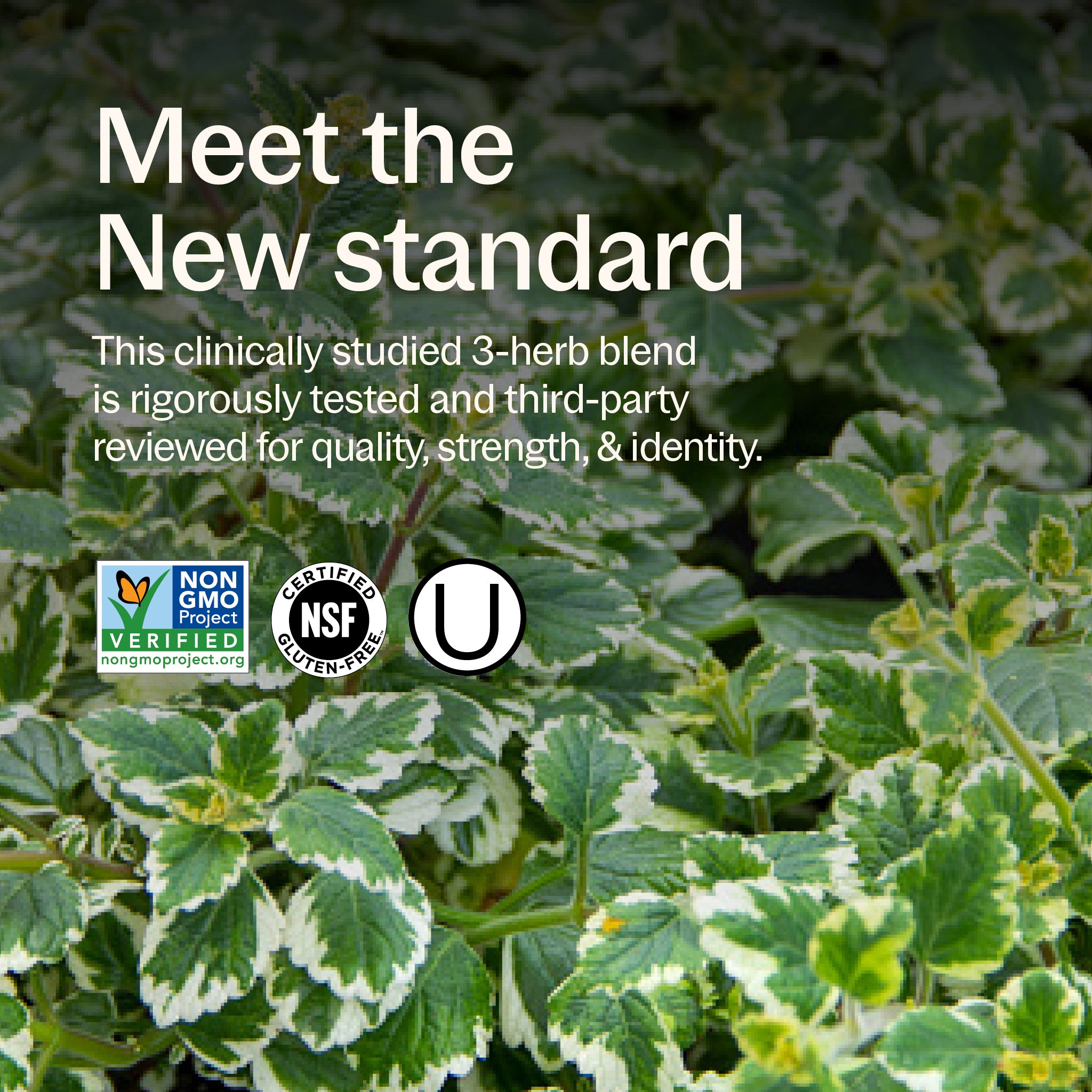 Non-GMO Project Verified, NSF Certified Gluten Free, Kosher Certified