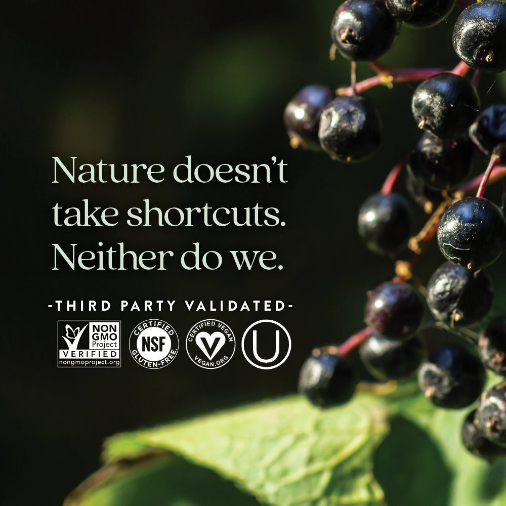 Non-GMO Project verified, NSF certified Gluten-Free, Certified Vegan, Kosher Certified