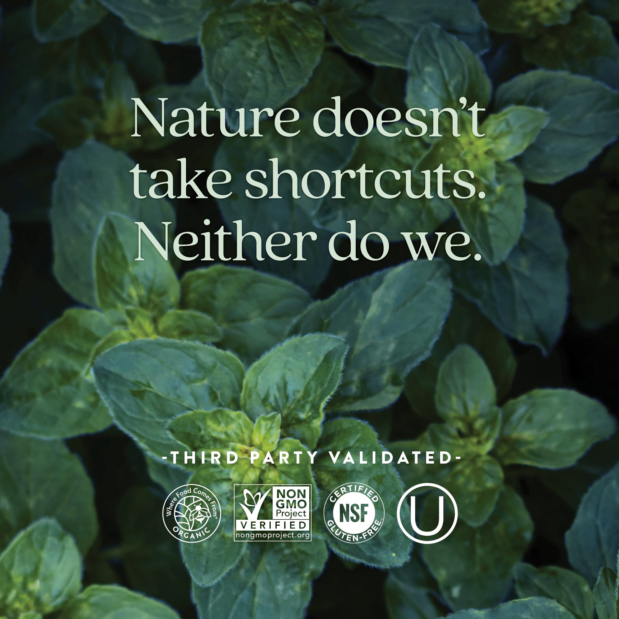 Where Food Comes From Organic Certified, Non-GMO Project Verified, NSF Certified Gluten-Free, Kosher Certified