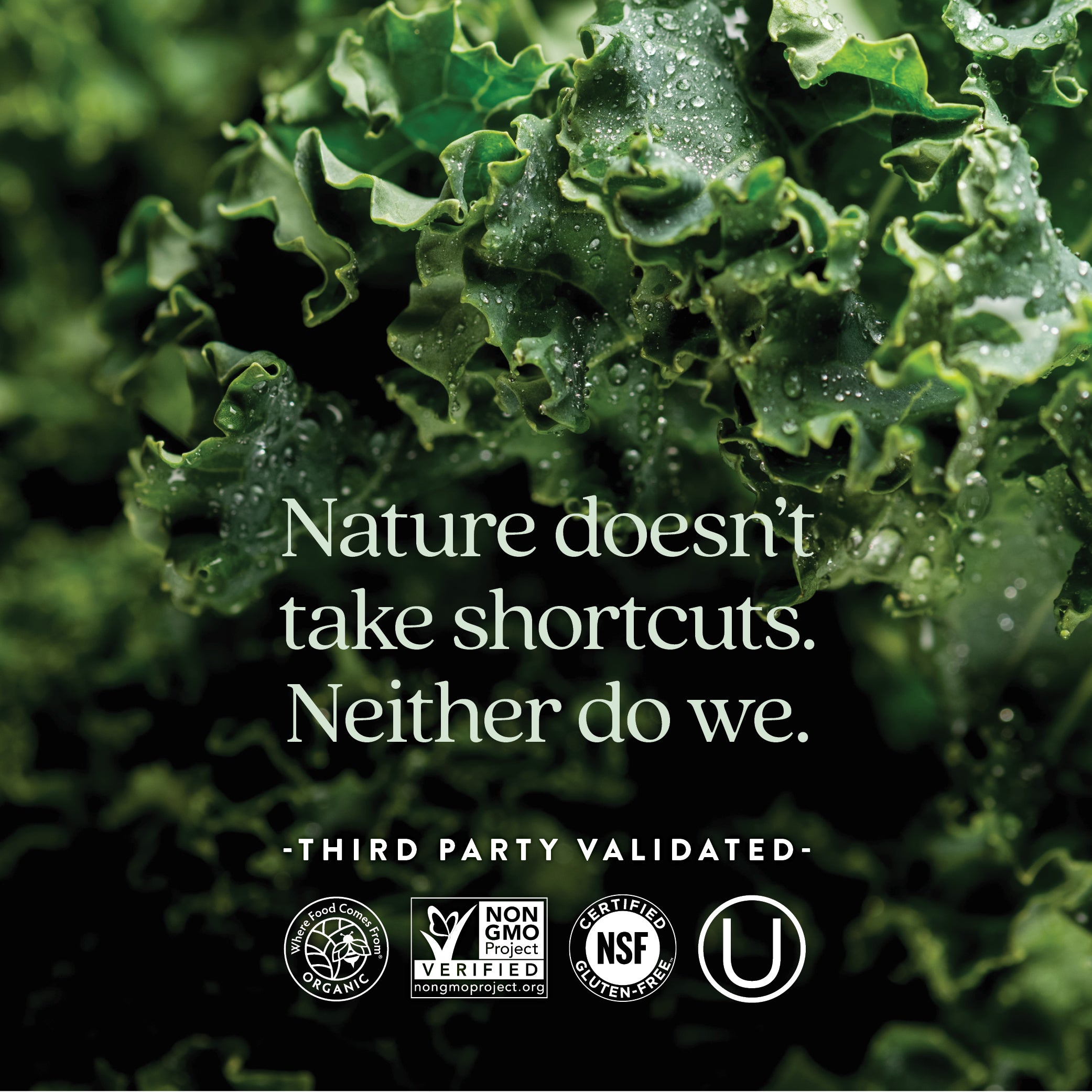 Where Food Comes From Organic Certified, Non-GMO Project Verified, NSF Certified Gluten-Free, Kosher Certified