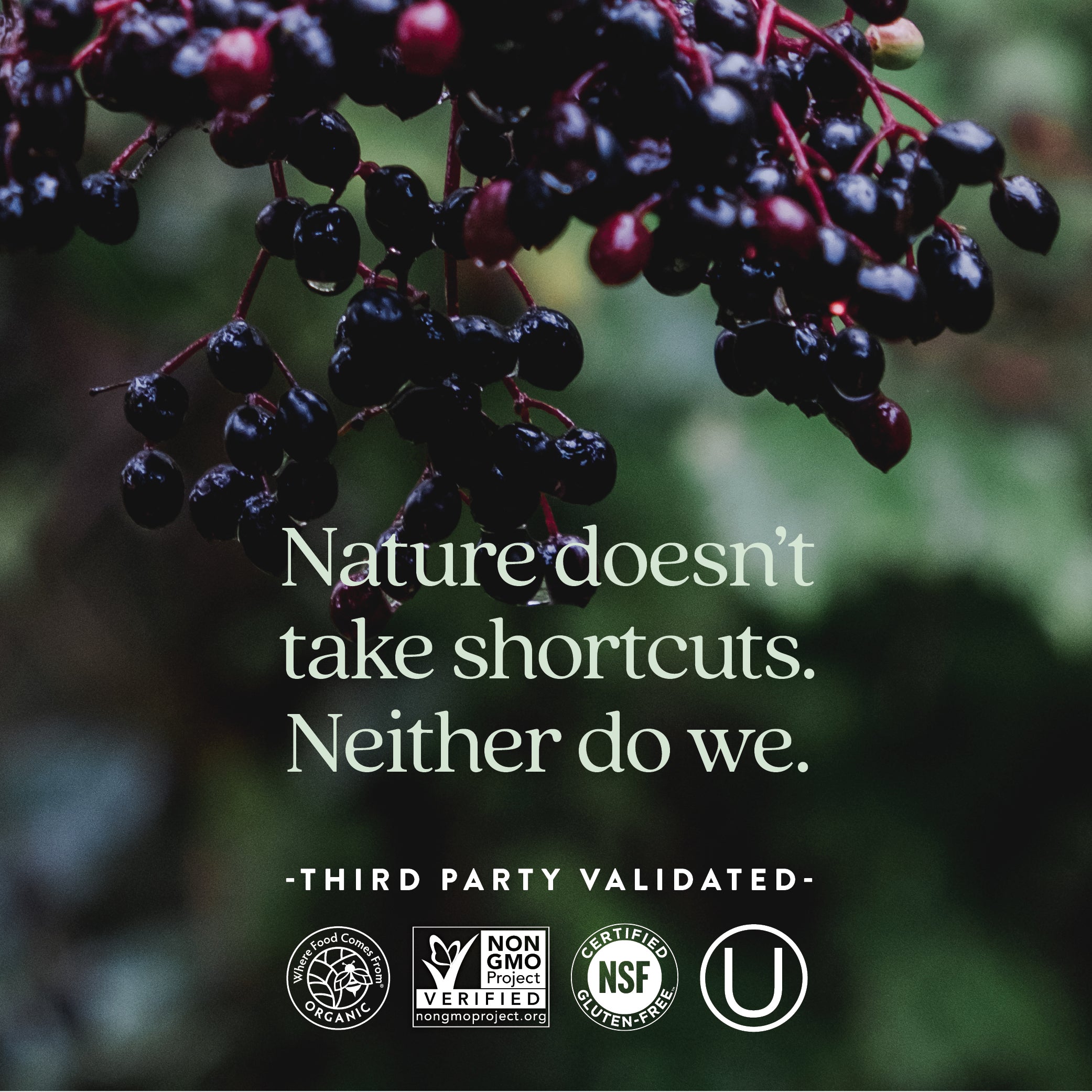 Where Food Comes From Organic Certified, Non-GMO Project Verified, NSF Certified Gluten-Free, Kosher Certified