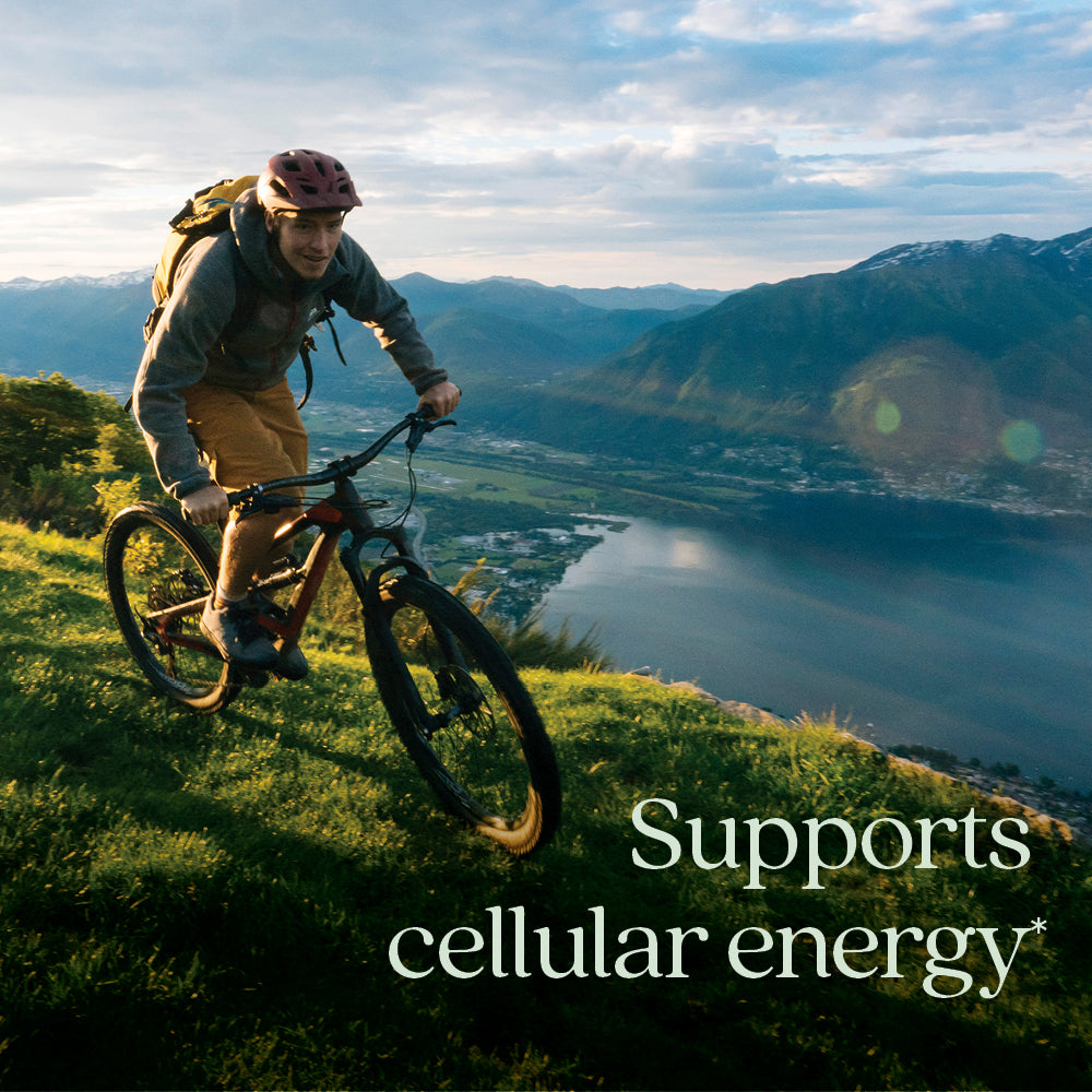 Supports Cellular Energy