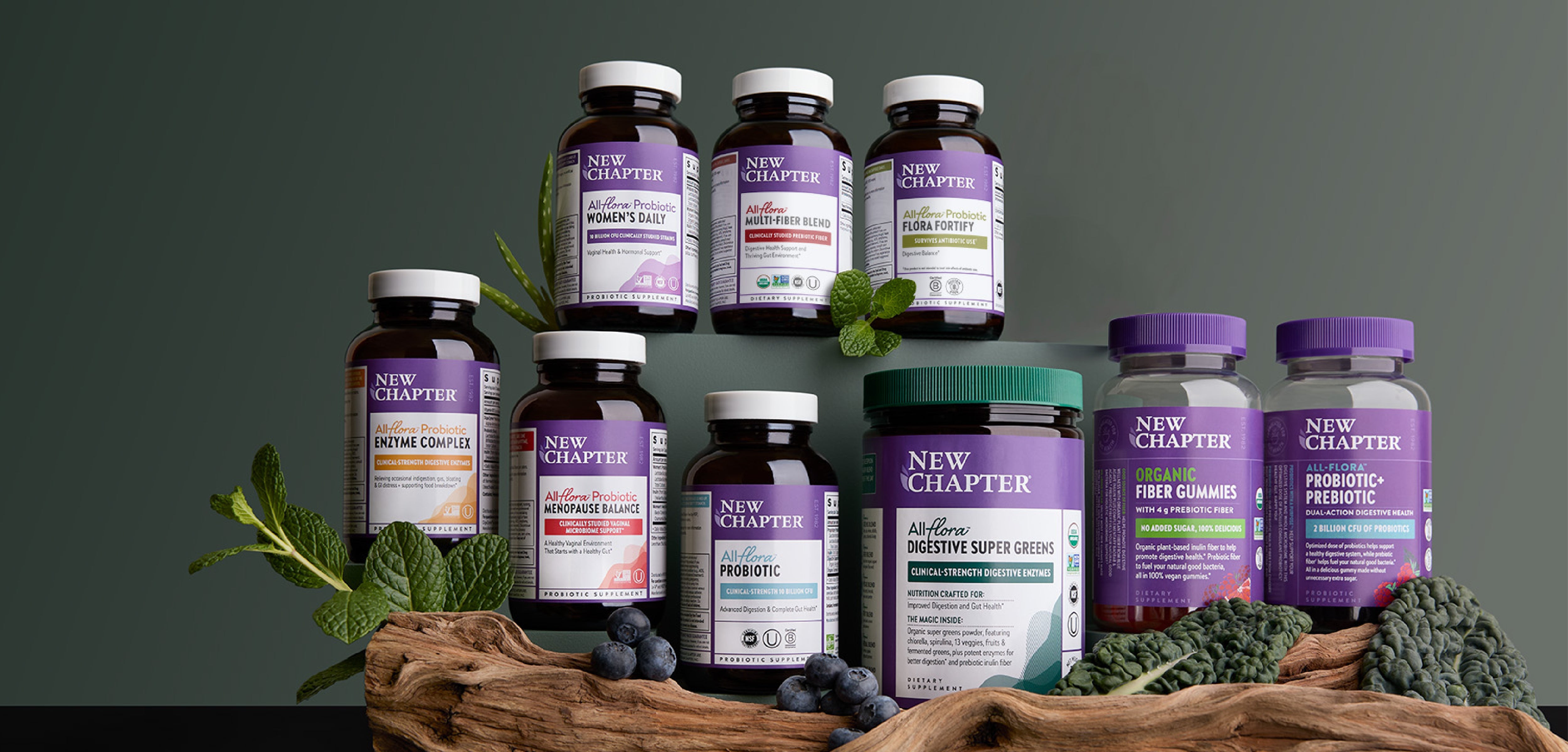 New Chapter All-Flora Probiotic, All-Flora Digestive Super Greens & All-Flora Probiotic Enzyme Complex, All-Flora Probiotic Women's Daily, All-Flora Multi-Fiber Blend, All-Flora Probiotic Flora Fortify, All-Flora Probiotic Menopause Balance, Organic Fiber Gummies & All-Flora Probiotic + Prebiotic Gummies