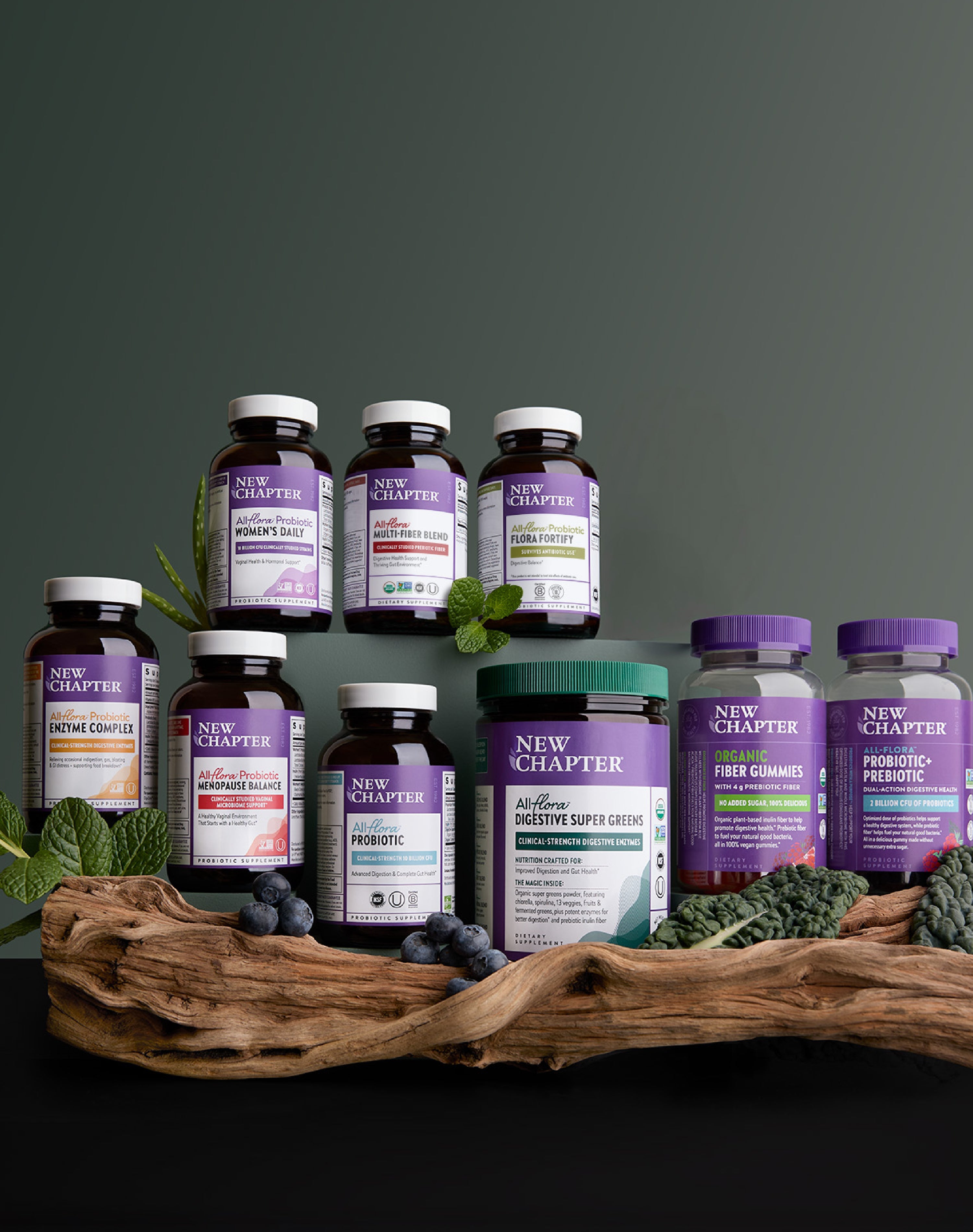 New Chapter All-Flora Probiotic, All-Flora Digestive Super Greens & All-Flora Probiotic Enzyme Complex, All-Flora Probiotic Women's Daily, All-Flora Multi-Fiber Blend, All-Flora Probiotic Flora Fortify, All-Flora Probiotic Menopause Balance, Organic Fiber Gummies & All-Flora Probiotic + Prebiotic Gummies