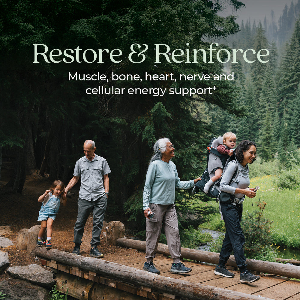 Restore & Reinforce Muscle, bone, heart, nerve and cellular energy support*