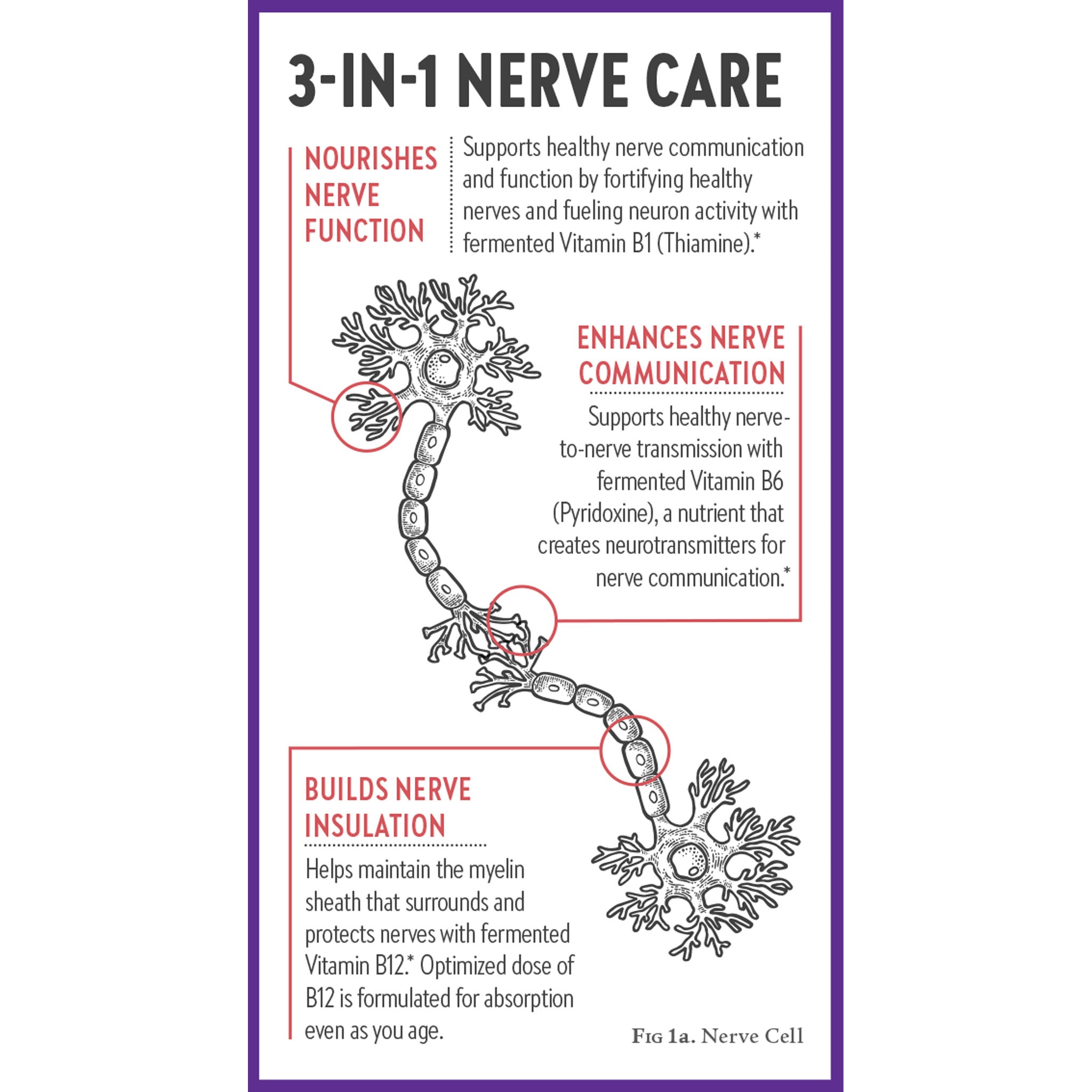 3-in-1 nerve care/ Nourishes nerve function. Enhances nerve communication. Builds nerve insulation