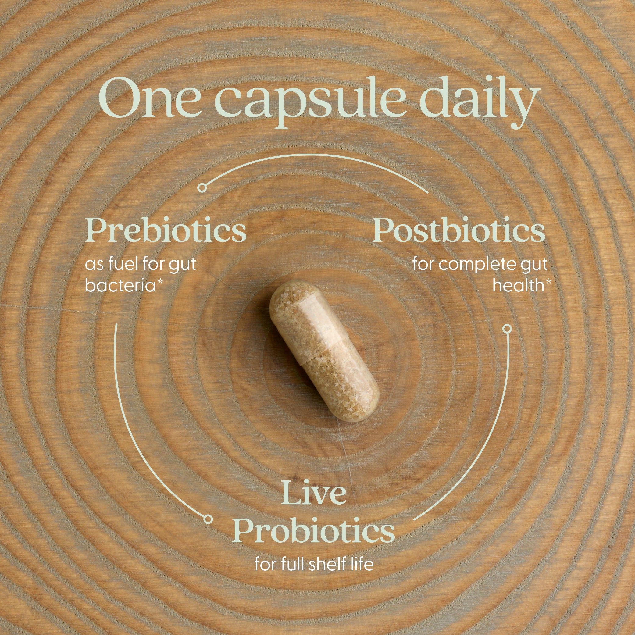 One capsule daily, Prebiotics, Postbiotics, Live Probiotics
