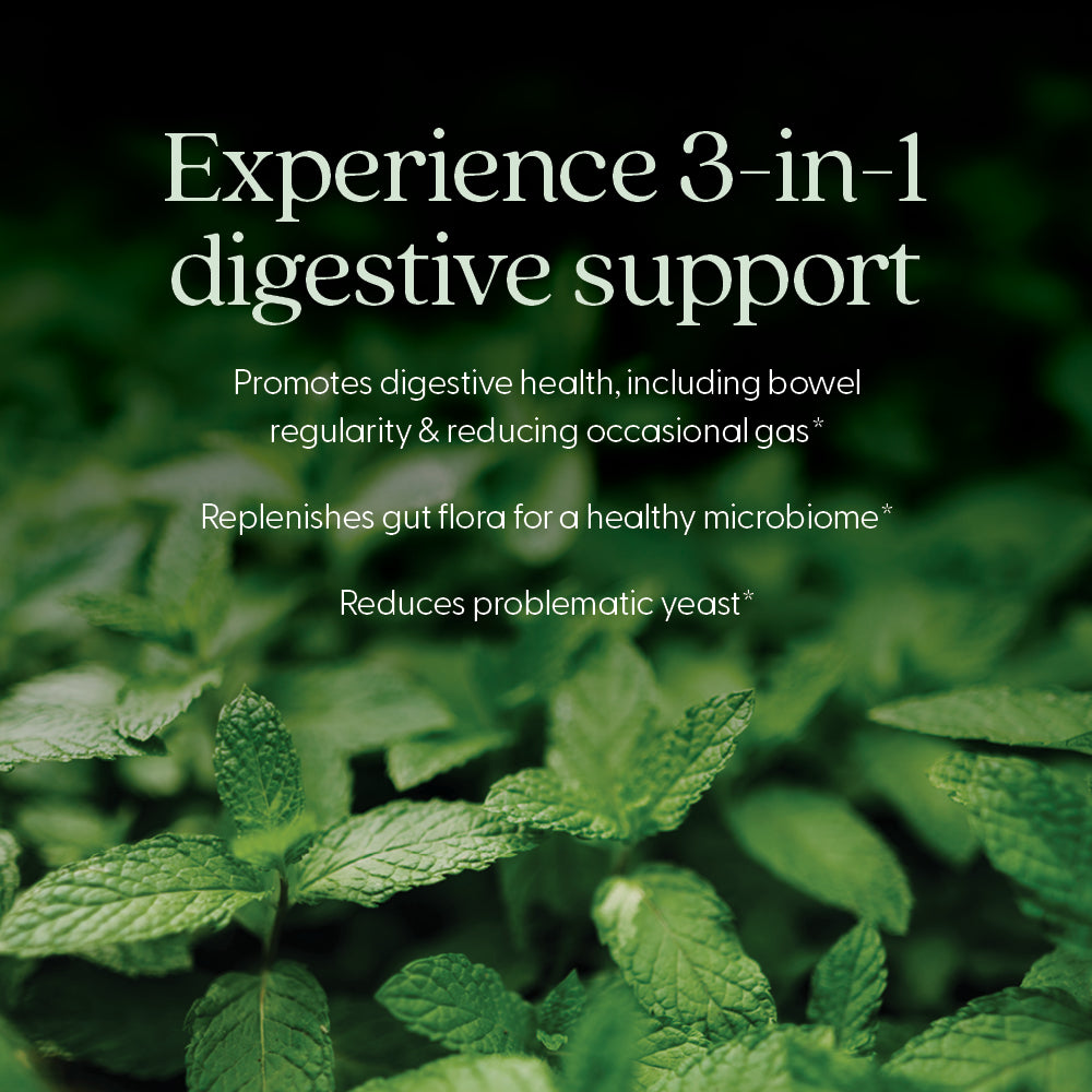 Experience 3-in-1 digestive support