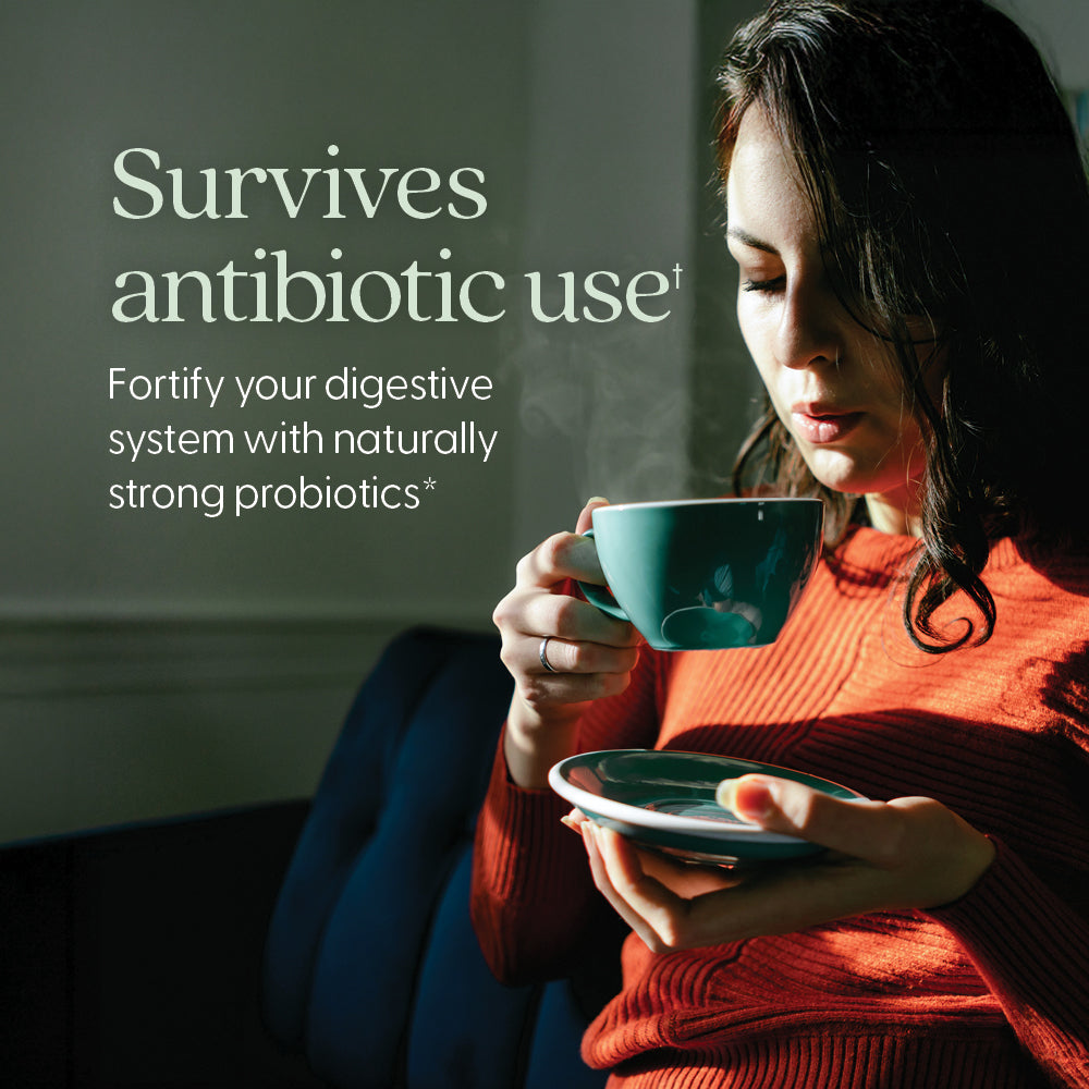 Survives antibiotic use, Fortify your digestive system with naturally strong probiotics*