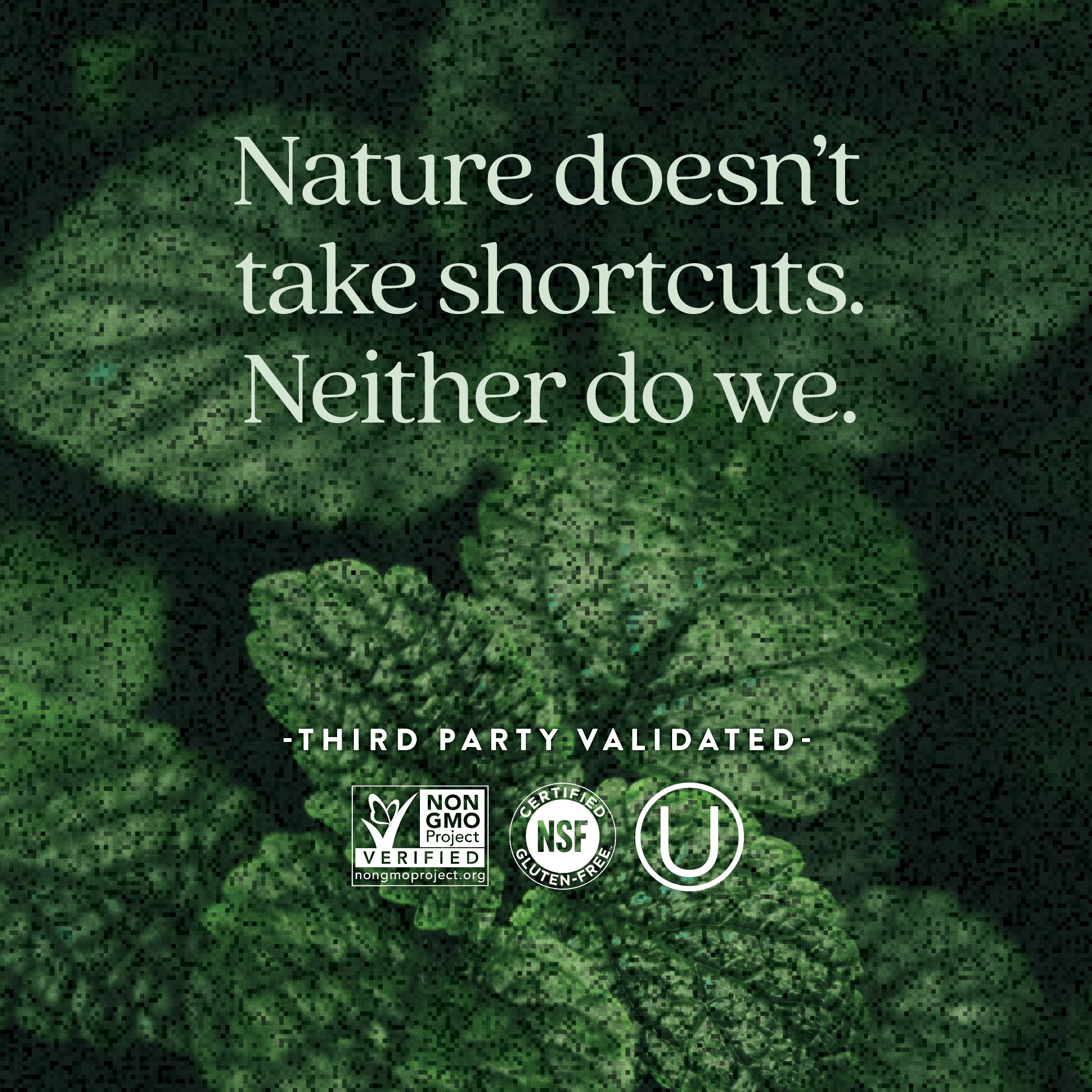 Third party validated. Non-GMO Project Verified. Certified NSF Gluten-Free. Kosher