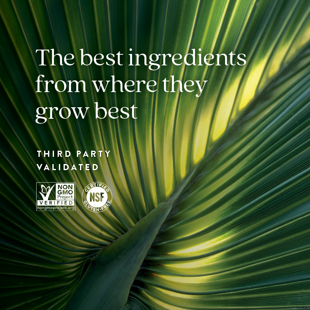 Non-GMO Project Verified, NSF Certified Gluten-Free