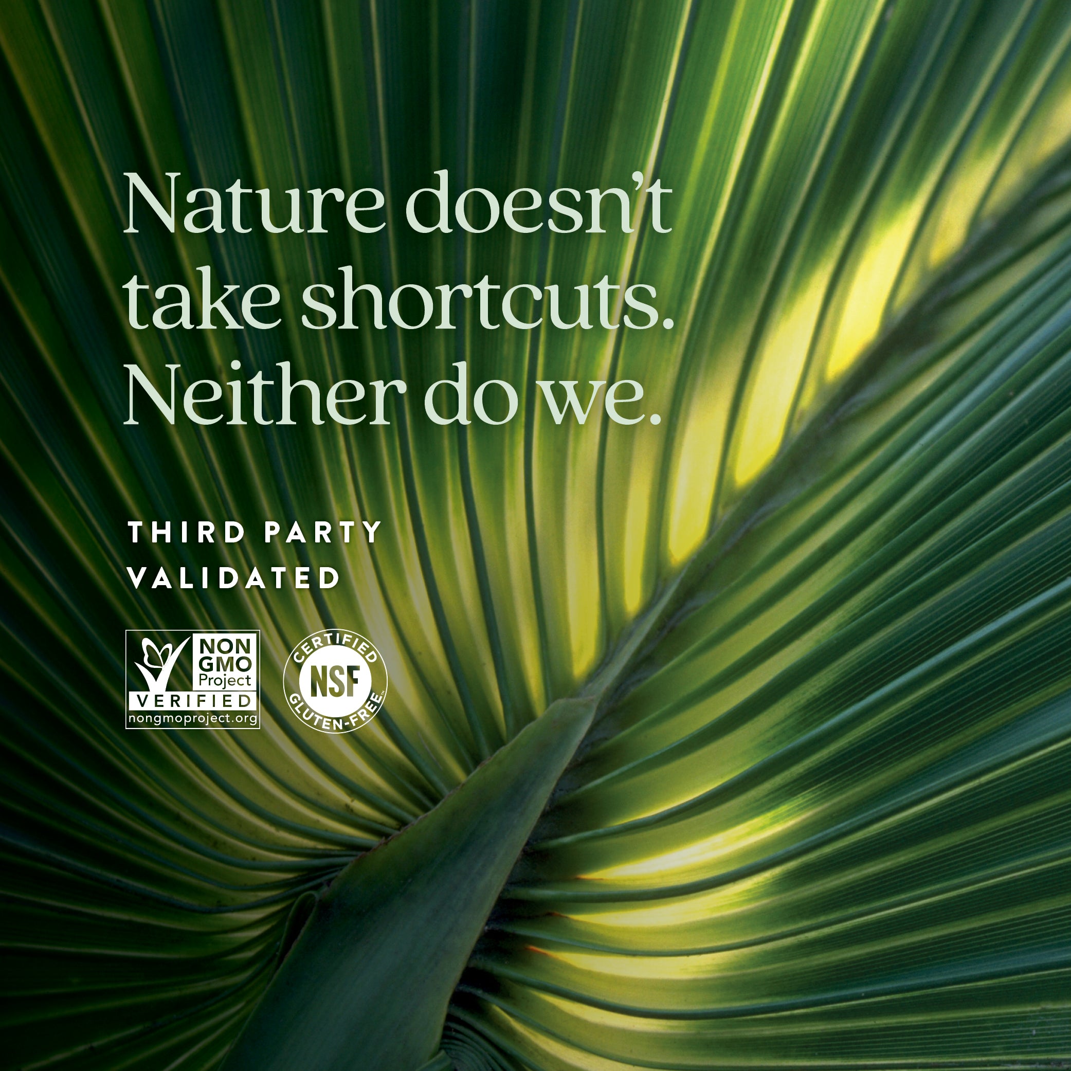 Non-GMO Project Verified, NSF Certified Gluten-Free