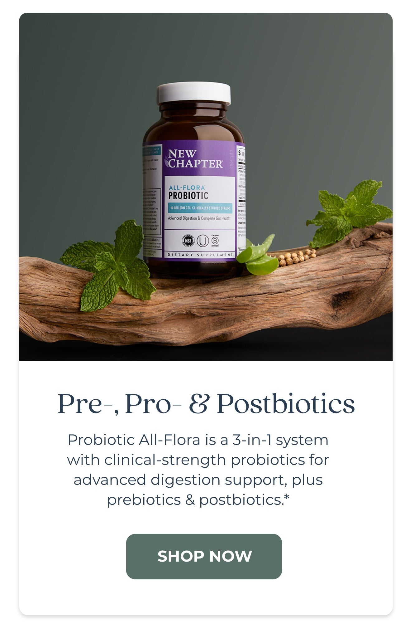 Pre-, Pro- & Postbiotics Probiotic All-Flora is a 3-in-1 system with clinical-strength probiotics for advanced digestion support, plus prebiotics & postbiotics.*