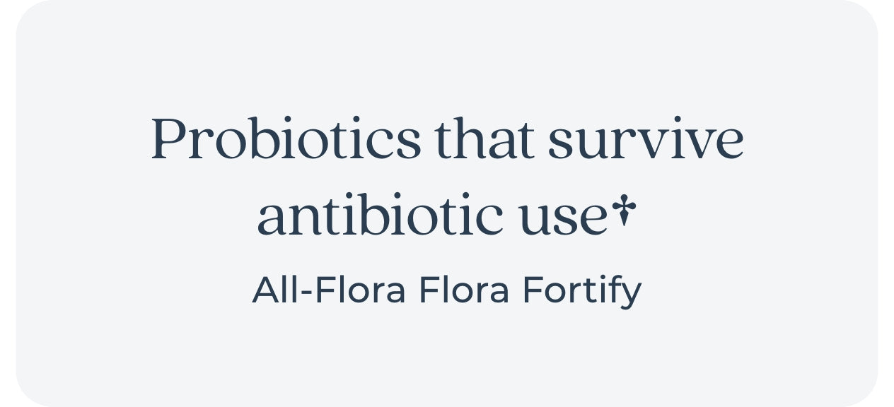 probiotics that survive antibiotic use+ all flora flora fortify
